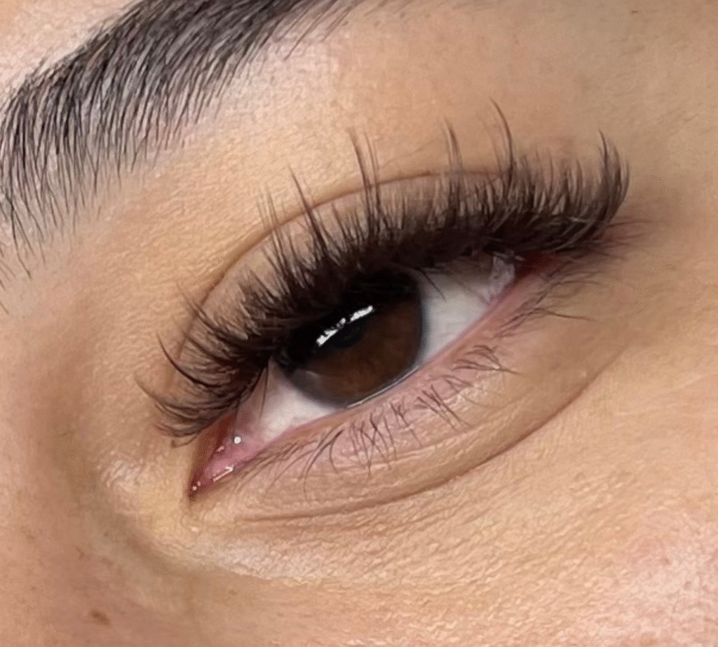 7 Brown Lash Set